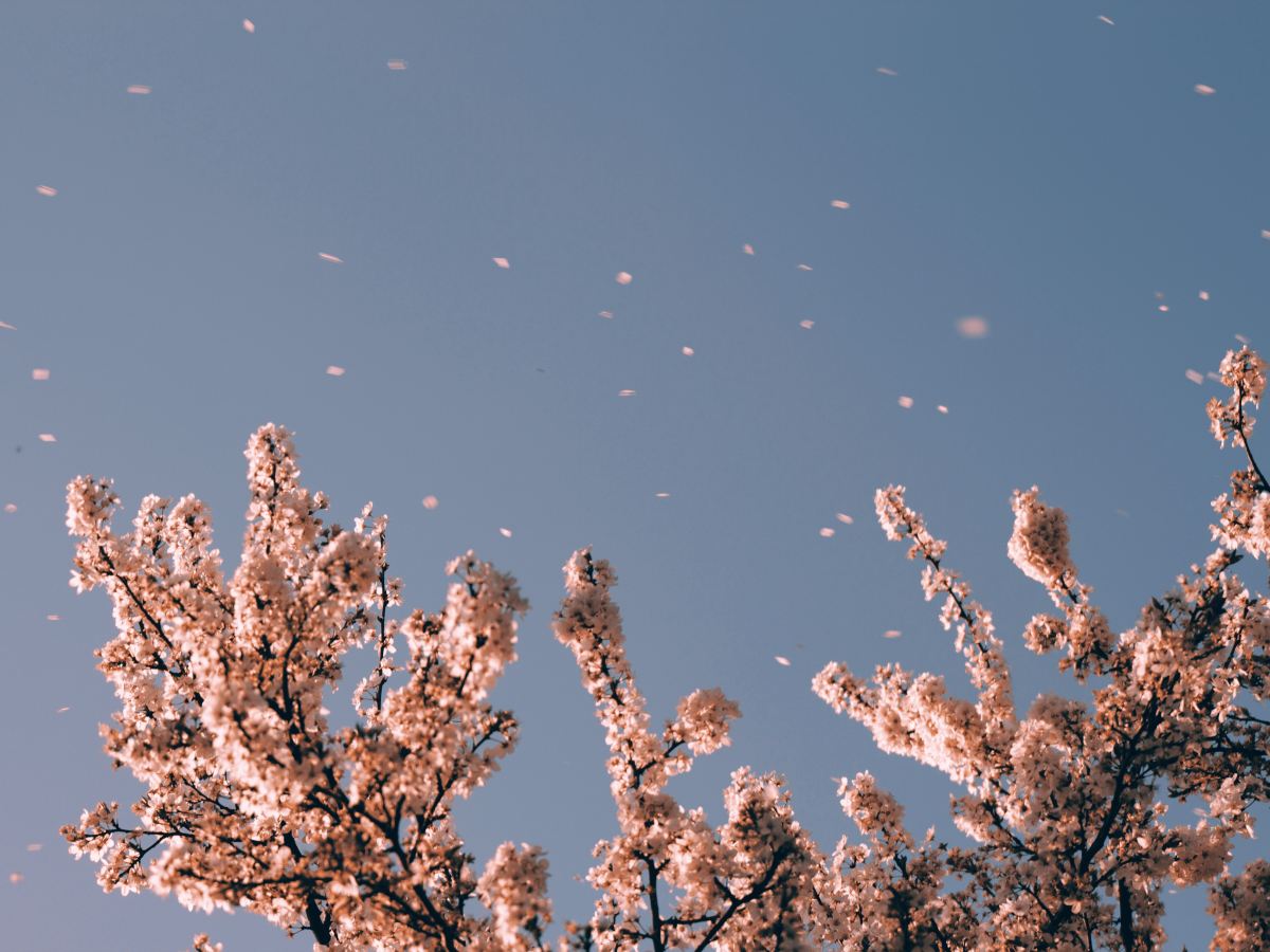 “30 of 28”, or “the life I never knew I’d&nbsp;have”