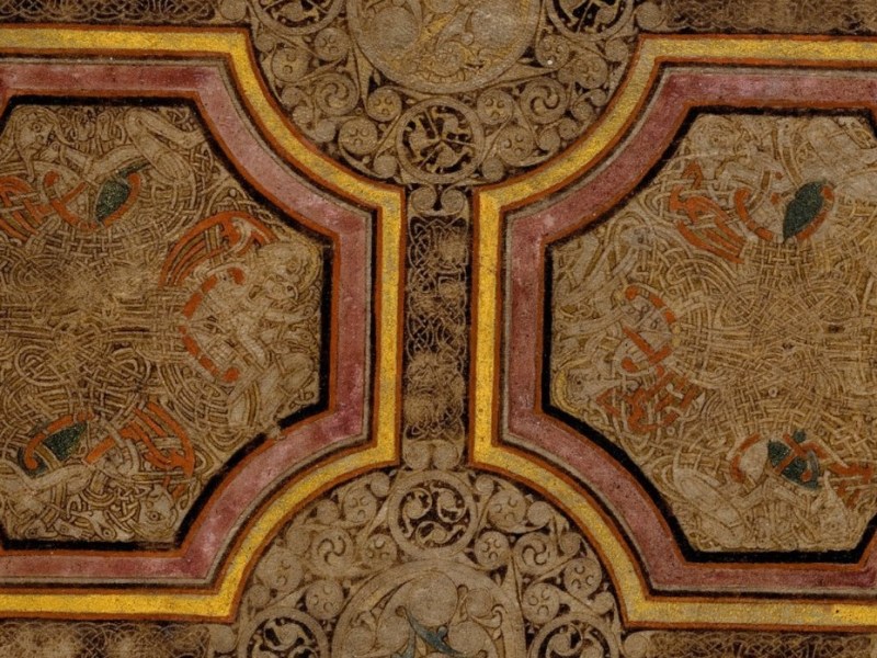 chaos of inter-disciplines