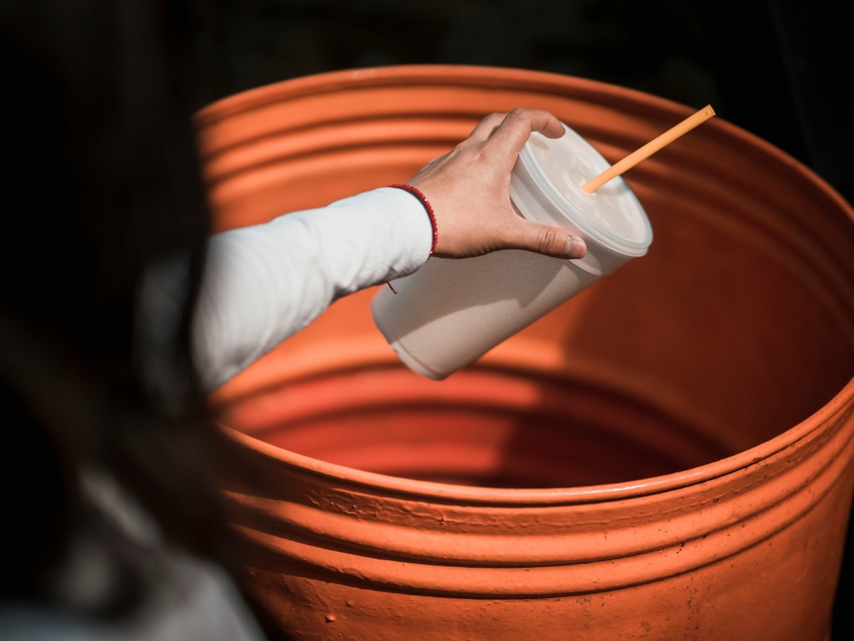 reduce, reuse, recycle: how to be disposable (sappy&nbsp;sallows)