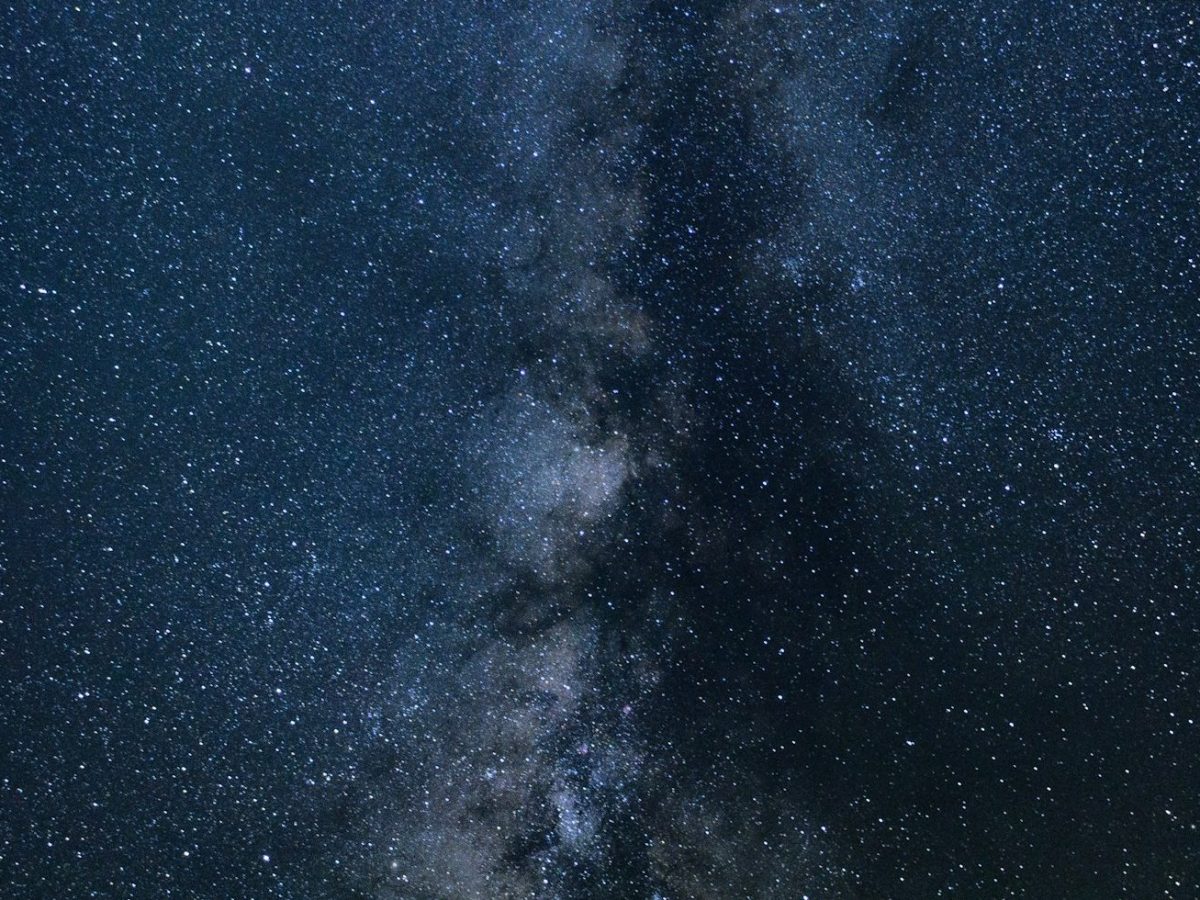 useless mess (sappy&nbsp;sallows)